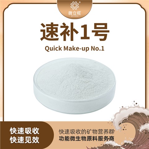 速补1号