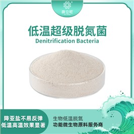 低温脱氮菌