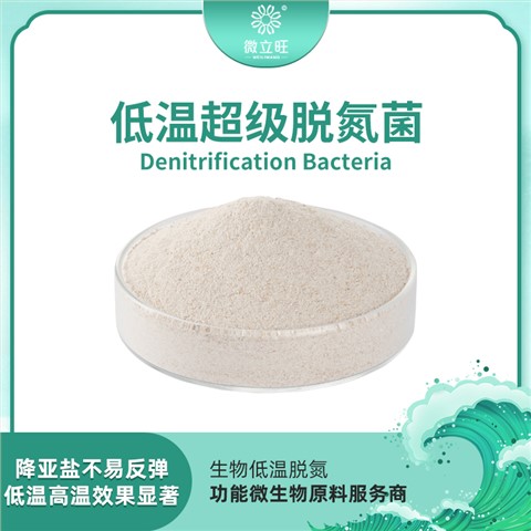 低温脱氮菌
