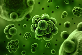 微生物可以养活世界