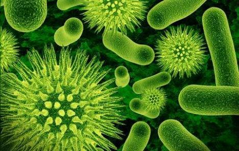 生物冶金：硫细菌：生物冶金——从矿石到金属的绿色革命