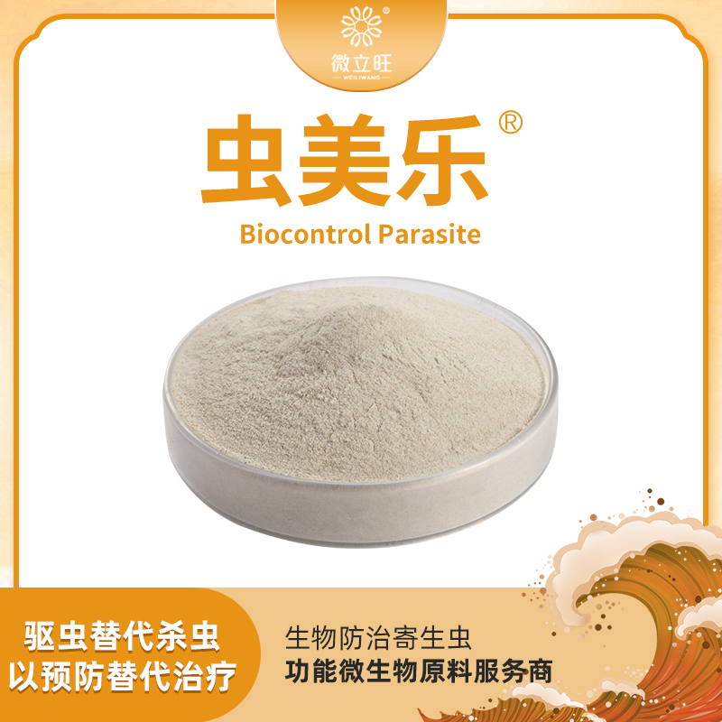 虫美乐
