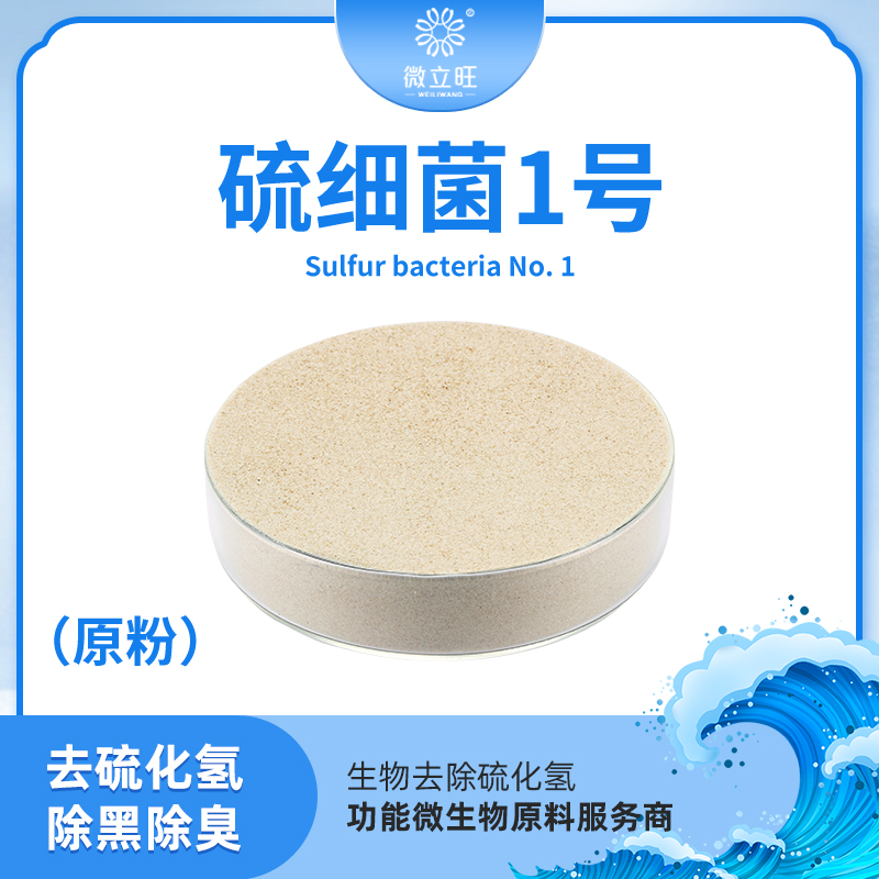 硫细菌1号(原粉)