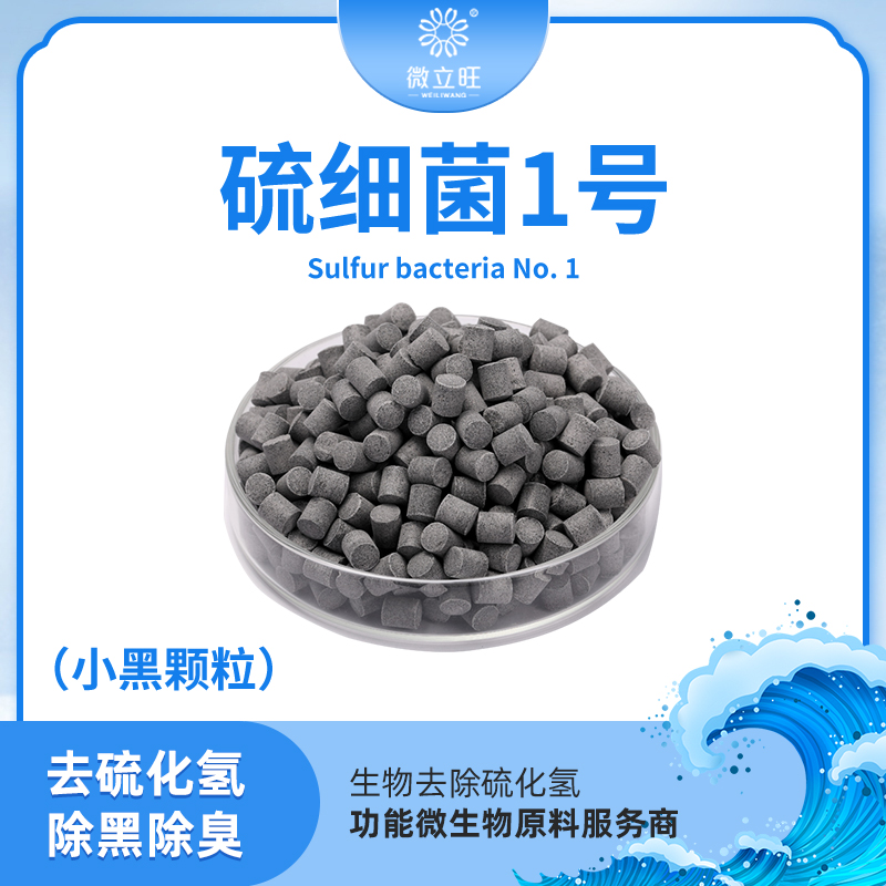硫细菌1号(颗粒)